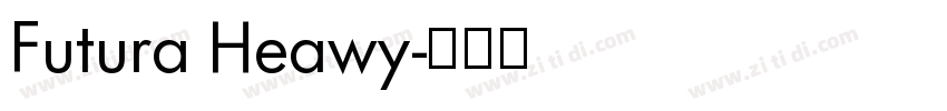 Futura Heawy字体转换